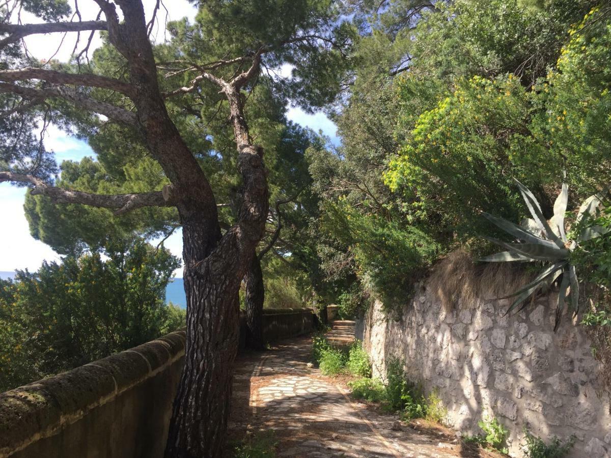 Villa Guya Capri Eksteriør billede