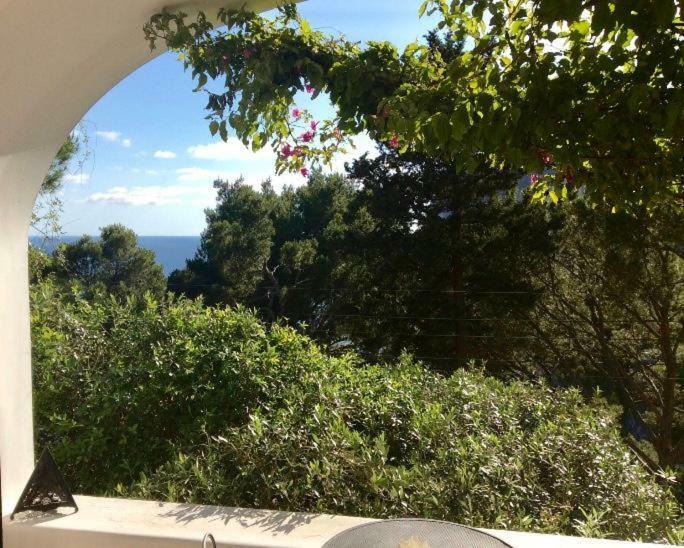 Villa Guya Capri Eksteriør billede